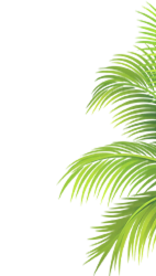 Leaf Decoration